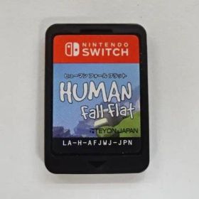 ヒューマン フォール フラット switchソフト 20-MY0726-15M