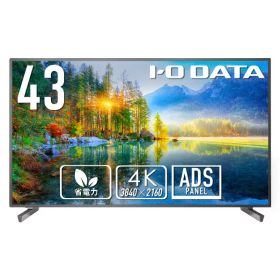 I・Oデータ 43型4K対応液晶ディスプレイ LCD-U431D [LCDU431D]【RNH】