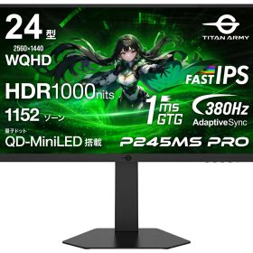 Titan Army｜タイタンアーミー ゲーミング液晶ディスプレイ(24型/FAST IPS/WQHD 2560×1440/380Hz/1ms)(ブラック) P245MS PRO