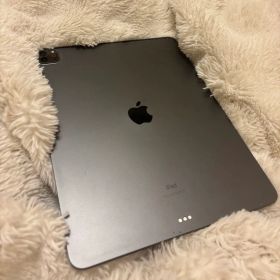iPad pro 第5世代 12.9inch 256GB