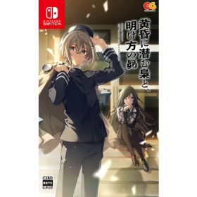 黄昏に潜む梟と、明け方の昴 【Switch】 HAC-P-BLDAA