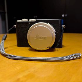 Lica D-LUX8 100
