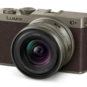 【10年間保証付き】[パナソニック] LUMIX DC-S9N-N 広角ズームレンズキット チタンゴールド