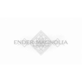 ENDER MAGNOLIA： Bloom in the Mist -Switch