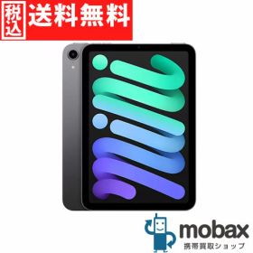 ◆ポイントUP◆※訳あり【新品未開封品（未使用）】 2024年版 第7世代 iPad mini 7 Wi-Fi 128GB [スペースグレイ] MXN63J/A Apple 8.3インチ タブレット