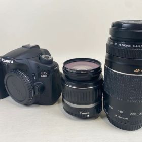 Canon EOS 60D シャッター回数1100回程度 ダブルレンズセット