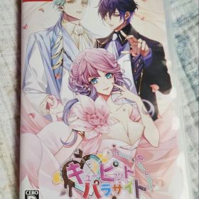 【即日発送可能】switch キューピット・パラサイト FD