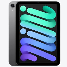 Apple iPad mini 8.3インチ Wi-Fi 128GB 2024年秋モデル MXN63J/A [スペースグレイ]