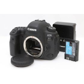 【全額返金保証】美品｜キヤノン EOS 6D Mark II ボディ CA01-D079-2Q2A
