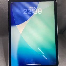 美品 国内版 SIMフリー Cellular版 iPad Pro 11インチ