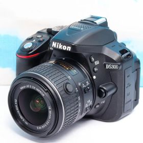 ニコン Nikon D5300⭐️WIFI搭載⭐️初心者おススメ⭐️おまけ多数