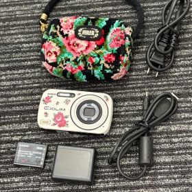【極美品】カシオ フェイラー CASIO EX-N1 FEILER 希少 動作良