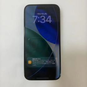 Apple iPhone 15 Pro 本体