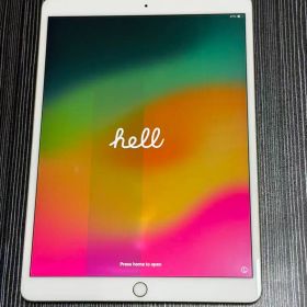 Apple iPad Pro 10.5インチ 512GB NPGK2J/A