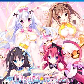 ※メール便発送※ 新品【PS4】 けもの道 ガーリッシュスクエア ［PS4版］