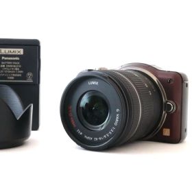 【極上美品・返品保証】LUMIX DMC-GF3 標準レンズキット