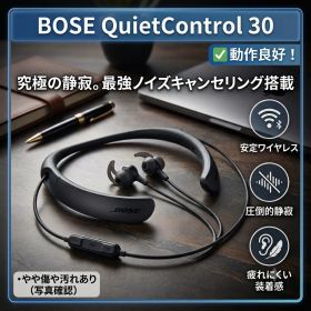 【動作◎・清潔除菌】Bose QuietControl 30 wireless headphones ブラック
