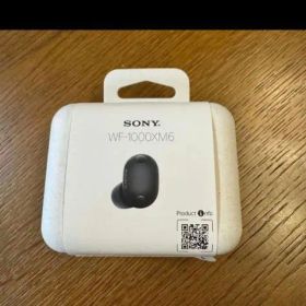 極美品 SONY WF-1000XM6 ワイヤレスイヤホン
