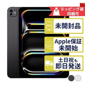 iPad Pro 11インチ M5 512GB APPLE Wi-Fiモデル 新品未開封 本体