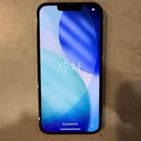 iPhone 13 Pro 本体 258GB KITSUNE ケース付き