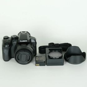 [美品 | フィルター付] Panasonic LUMIX DMC-FZ300 | コンパクトデジタルカメラ