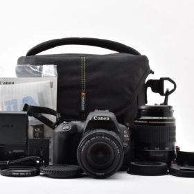 超美品 1966ショット EOS Kiss X9 デジタル一眼レフ ダブルレンズ