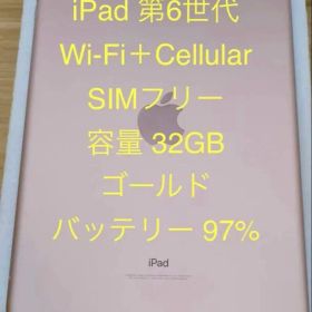 Apple iPad 第6世代 Wi-Fi+Cellular 32GB