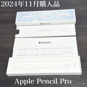 2024年11月購入品 Apple Pencil Pro MX2D3ZA/A