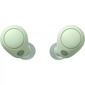 ソニー(SONY) 完全ワイヤレスイヤホン WF-C700N :高性能ノイズキャンセリング搭載/軽量 小型設計/音質アップスケール機能搭載/連続音楽再生時間最長 7.5時間/IPX4防滴性能/急速充電対応/クリアな通話性能/マルチポイント対応 セージグ