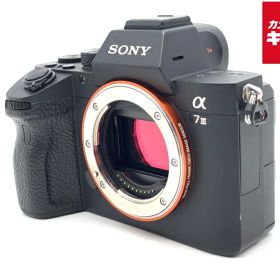 【中古】 【並品】 ソニー α7III ボディ [ILCE-7M3] 【ミラーレス一眼】 【6ヶ月保証】