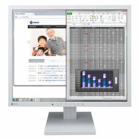 【中古】【非常に良い】EIZO FlexScan S1934-TGY （19.0型モニター/1280×1024/スクエアモデル/疲れ目軽減/セレーングレイ/The warranty is valid only in Ja