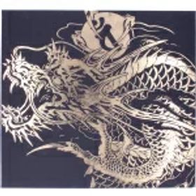 【中古】 龍が如く 極2 ＜限定版の極み＞／PS4
