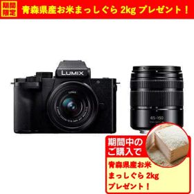 【期間限定ギフトプレゼント】パナソニック DC-G100DW-K デジタル一眼カメラ ダブルズームレンズキット LUMIX G100D ブラック