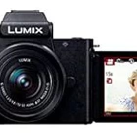 【中古】(非常に良い)パナソニック ミラーレス一眼カメラ ルミックス G100K 標準ズームレンズキット ブラック DC-G100K-K