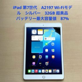 iPad 第7世代 A2197 Wi-Fiモデル シルバー 32GB 超美品#7