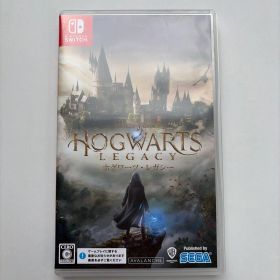 ホグワーツレガシー Nintendo Switch
