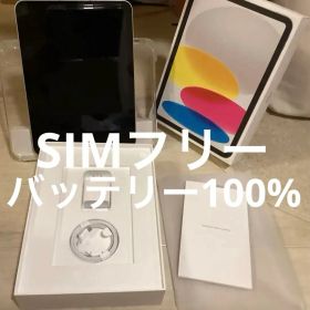 Apple iPad A16 シルバーWi-Fi+cellular 128GB