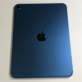 【ジャンク品】iPad A16 第11世代 512GB セルラー