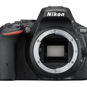 Nikon D5500(シャッター数3,000) + AF-Pダブルズームレンズ