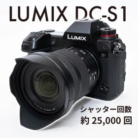 PANASONIC LUMIX DC-S1と標準ズームレンズ