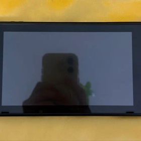 Nintendo Switch ネオンピンク/ネオングリーン HAC-001