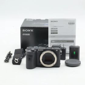 SONY α6600 ボディ ILCE-6600｜APS-C ミラーレス一眼 4K動画対応 手ブレ補正 リアルタイム瞳AF ソニー【中古】