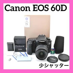 高性能&高画質✨Canon EOS 60D✨少シャッター数✨スマホ転送