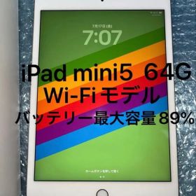 Apple iPad mini 5 64GB Wi-Fiモデル 本体