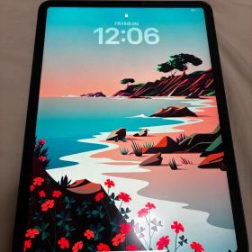 11インチ iPad Pro 第2世代（2020年）本体 スペースグレー