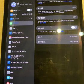 iPad Pro 11インチ M4 256GB
