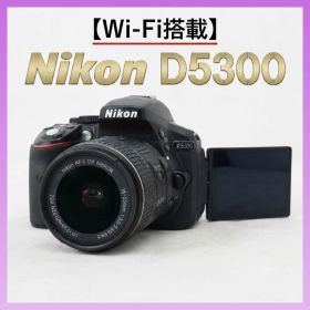 【Wi-Fi搭載】Nikon D5300 一眼レフ 初心者セット 動作確認済