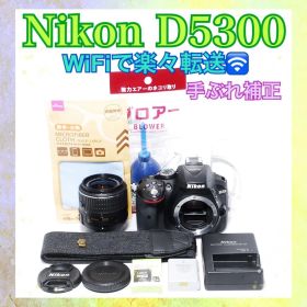❣️WiFi機能❣️Nikon D5300❣️手ぶれ補正付きSレンズ❣️一眼レフ❣️高性能