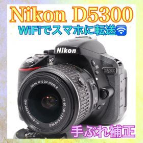 ❤️Nikon D5300❤️WiFiでスマホに転送❤️一眼レフ❤️手ぶれ補正❤️超軽量❤️