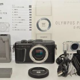 【特上品】 OLYMPUS オリンパス ミラーレス一眼カメラ PEN E-PL10 ボディー ブラック ＃9350
